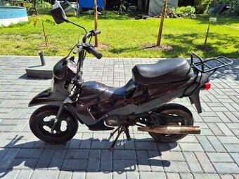 Mokik MS Steward (STELLA) /MORINI/ - BABETTA