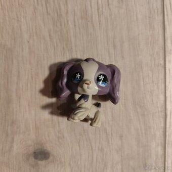 LPS littlest petshop kokršpaněl