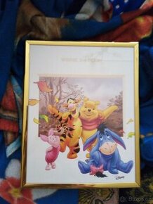 Obrázky Medvídek Pů a Mickey,Minnie,Donald,Deisy