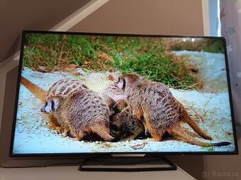 Televize 55PFT5509/12 55"