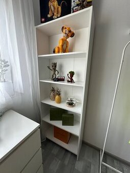Set nábytku - knihovna a regál
