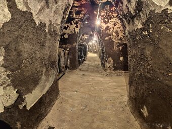 Pronájem, vinný sklep s lisovnou, Nový Šaldorf - 1