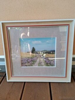 Obraz Helena Puchýřová