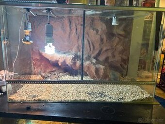 Terarium d80 x v50 x h40 cm