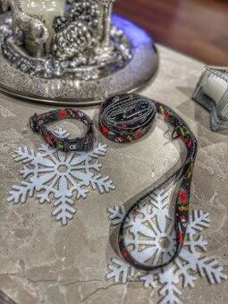 Luxusní obojek + vodítko OBODOG