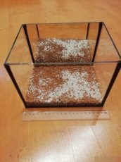 Akvárium pro Betana