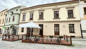 Prodej, dům v centru Znojma, 350 m2 - Znojmo, ul. Zelenářská - 1