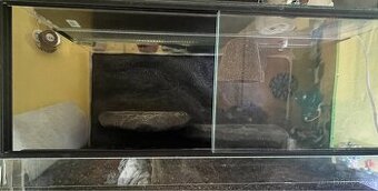 terarium 80x40x40