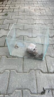 Prodám akvárium/terarium