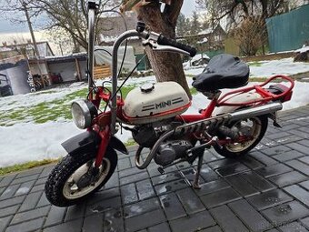 Mokik RIGA MINI, vzácná