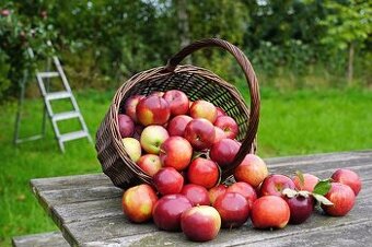 Jablka z vlastního sadu - kvalita bez chemie