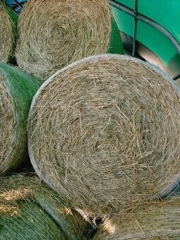 Prodám seno a senáž v kulatých balících