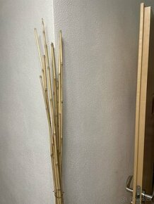 Bambusové tyče, bambusová tyčka, bambus