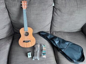 Ukulele
