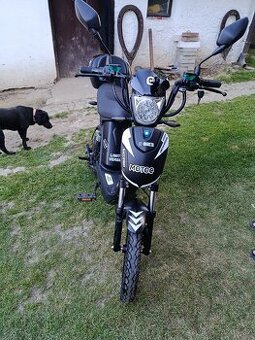 Racceway limited edition