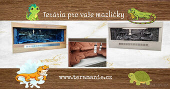 Terárium , Osram Biolux , agama vousata