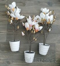 Umele magnolie - 1