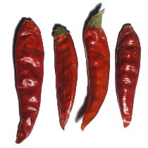 Semínka chilli - 1