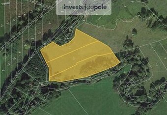 Prodej louky v k.ú. Petrovice nad Úhlavou