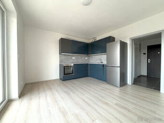 Pronájem bytu 1+kk, Boettingerova, Plzeň, 14.500,- Kč/měs, 3