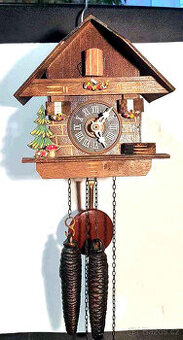 Německé kukačky Regula