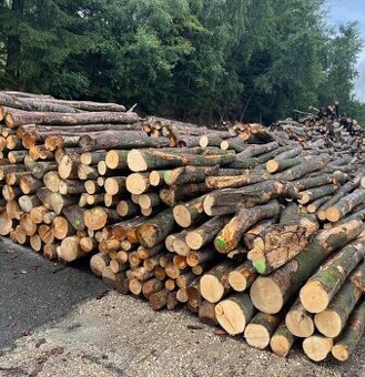Prodej palivového dřeva za seriózní ceny tvrde