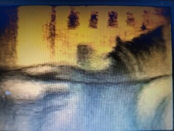 Koňské spřežení