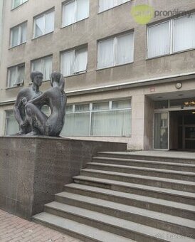 Pronájem obchodního prostoru 127 m²