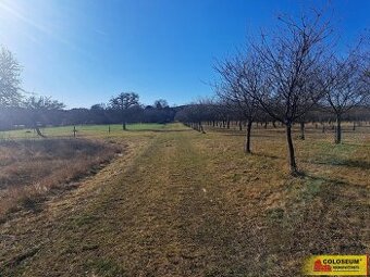 Štěchov, stavební rezerva, 4 979 m2 – pozemek
