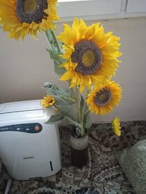 Velká slunečnice,možnost i s vazou - 1