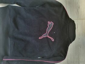 Puma bunda - 1
