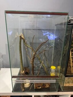 Terarium