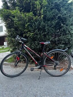 Dámské kolo Rock Machine Crossride
