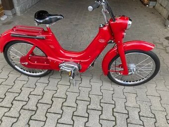 Jawetta 551