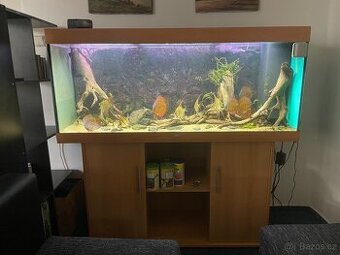 Akvarium Juwel 450l