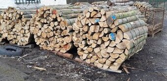 Suché palivové dřevo BUK 1.25 m3 rovnané