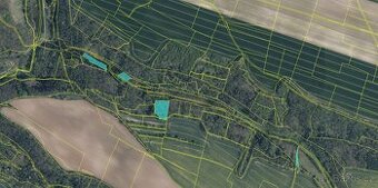 Prodám lesní pozemky v katastrálním území Radouň Mělnické Vt