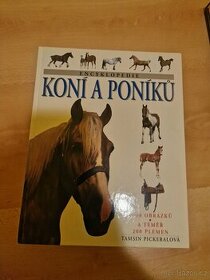 Literatura o Koních - 1