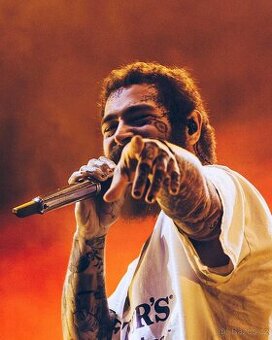 Post Malone | stání A | 6 lístků | 12. srpen Praha Letňany