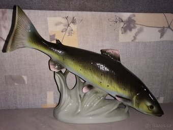 Royal dux ryba-losos