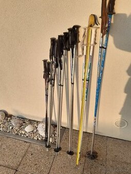 Hůlky na lyže. Tyčky na lyže.