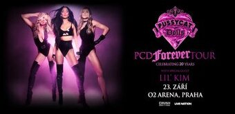 The Pussycat Dolls