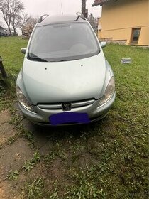 Peugeot 307 sw - 1