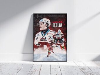 Dynamo pardubice Plakát - Lukáš Sedlák