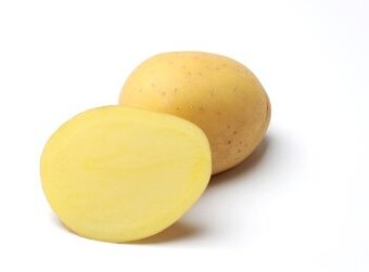 Brambory k uskladnění