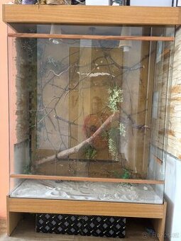 Terarium