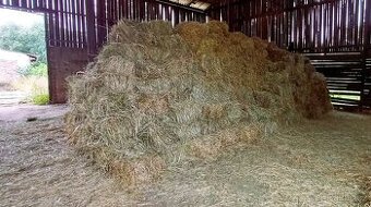 Seno luční - malé balíky - sklizeň 2025