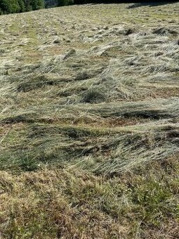 Prodám kulaté balíky sena