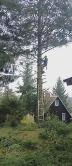 Rizikové kácení + odborné stříhání ovovnýh stromů a keřů