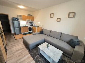 1+kk/L, zařízený, 34,6 m2, Baráčnická, Bukov, UL